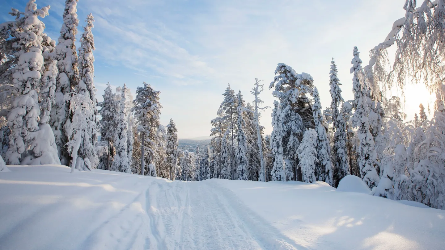 snowmobile in Vemdalen